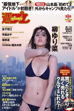 织田信奈的野望