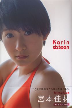 虎妈猫爸演员表介绍